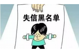 定边融资清欠服务